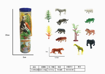 <img src='photo/Z/JZ109237.jpg'width='400' height='300'>