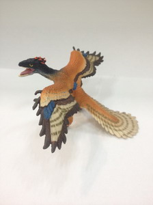 <img src='photo/Z/JZ109275.jpg'width='400' height='300'>