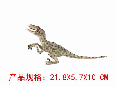 <img src='photo/Z/JZ109287.jpg'width='400' height='300'>