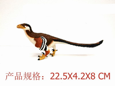 <img src='photo/Z/JZ109331.jpg'width='400' height='300'>