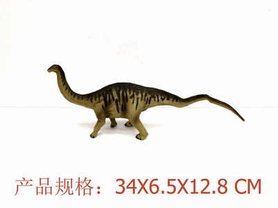 <img src='photo/Z/JZ109349.jpg'width='400' height='300'>