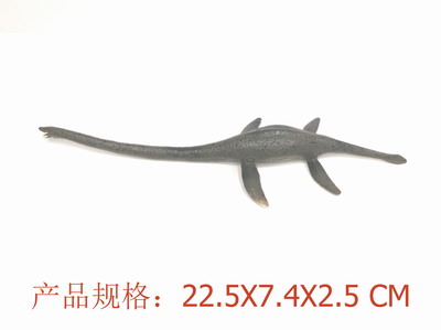 <img src='photo/Z/JZ109351.jpg'width='400' height='300'>