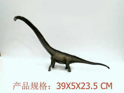 <img src='photo/Z/JZ109374.jpg'width='400' height='300'>