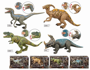 <img src='photo/Z/JZ109388.jpg'width='400' height='300'>