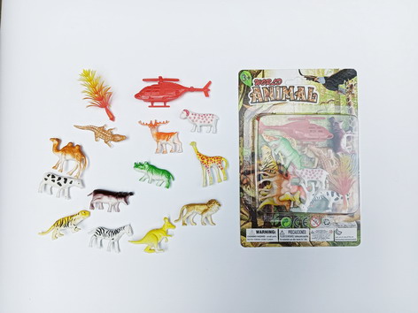 <img src='photo/Z/JZ109415.jpg'width='400' height='300'>