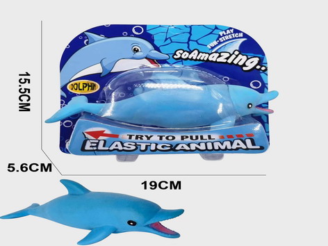 <img src='photo/Z/JZ109431.jpg'width='400' height='300'>