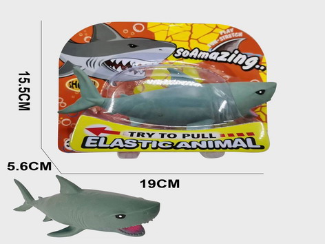 <img src='photo/Z/JZ109432.jpg'width='400' height='300'>