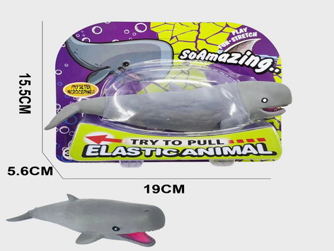 <img src='photo/Z/JZ109433.jpg'width='400' height='300'>