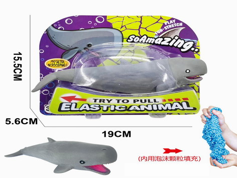 <img src='photo/Z/JZ109443.jpg'width='400' height='300'>