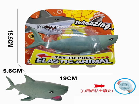 <img src='photo/Z/JZ109452.jpg'width='400' height='300'>