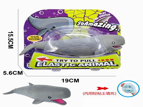 <img src='photo/Z/JZ109453.jpg'width='400' height='300'>