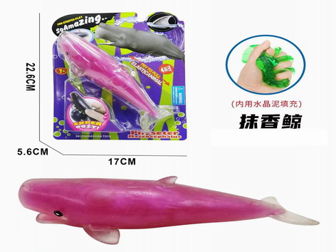 <img src='photo/Z/JZ109463.jpg'width='400' height='300'>