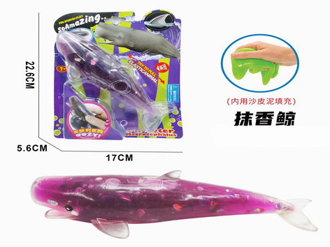 <img src='photo/Z/JZ109473.jpg'width='400' height='300'>