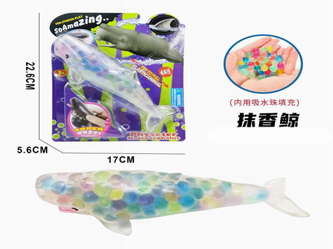 <img src='photo/Z/JZ109483.jpg'width='400' height='300'>