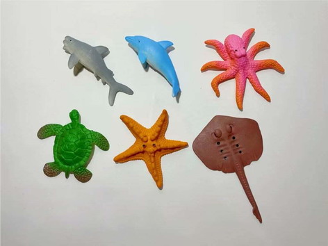 <img src='photo/Z/JZ109769.jpg'width='400' height='300'>