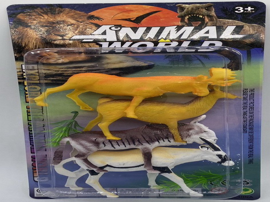 <img src='photo/Z/JZ109915.jpg'width='400' height='300'>