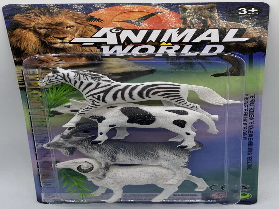 <img src='photo/Z/JZ109916.jpg'width='400' height='300'>