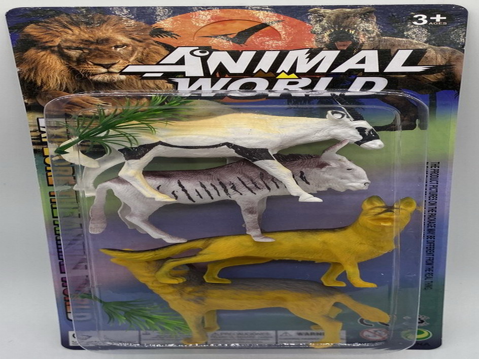 <img src='photo/Z/JZ109917.jpg'width='400' height='300'>