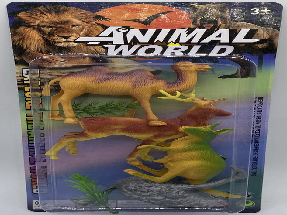 <img src='photo/Z/JZ109918.jpg'width='400' height='300'>