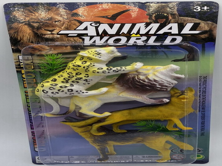 <img src='photo/Z/JZ109919.jpg'width='400' height='300'>