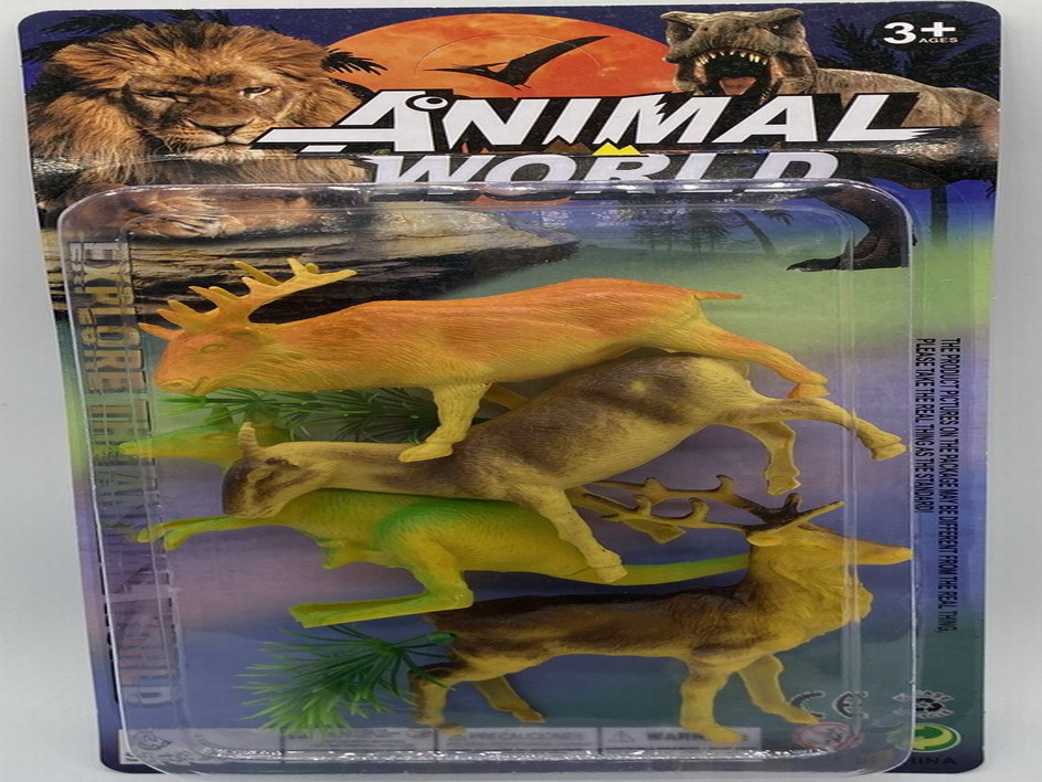 <img src='photo/Z/JZ109921.jpg'width='400' height='300'>