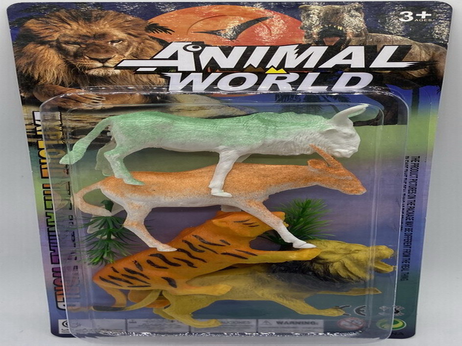 <img src='photo/Z/JZ109922.jpg'width='400' height='300'>