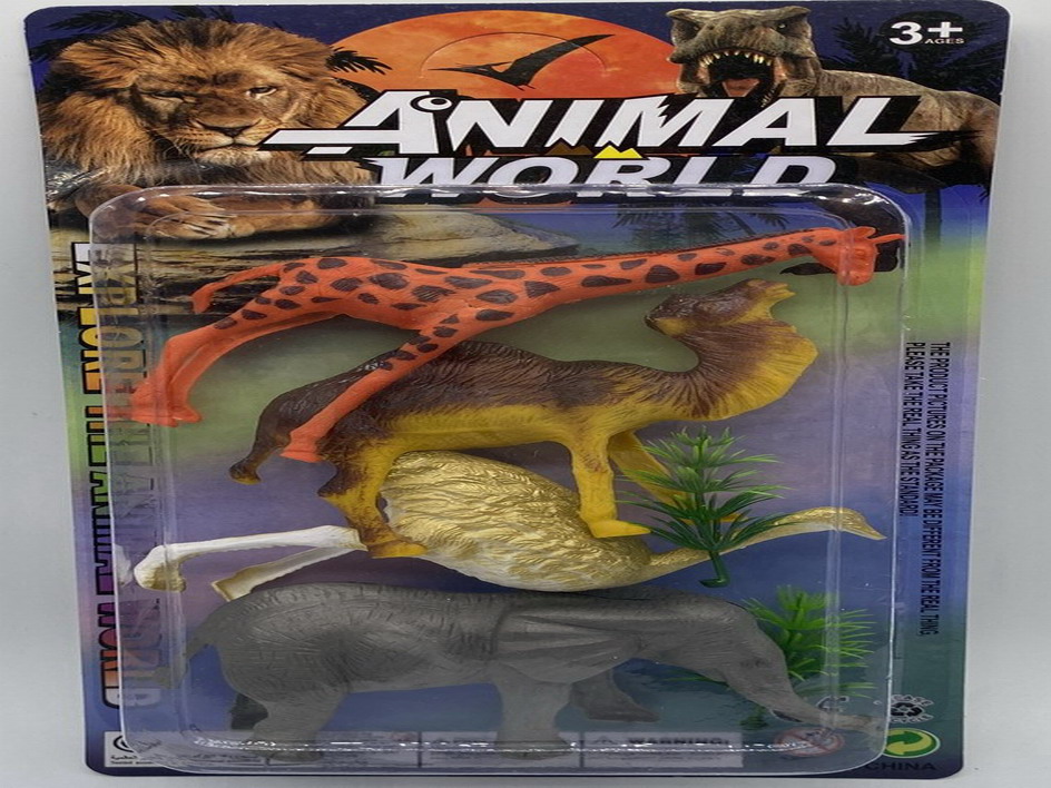 <img src='photo/Z/JZ109924.jpg'width='400' height='300'>