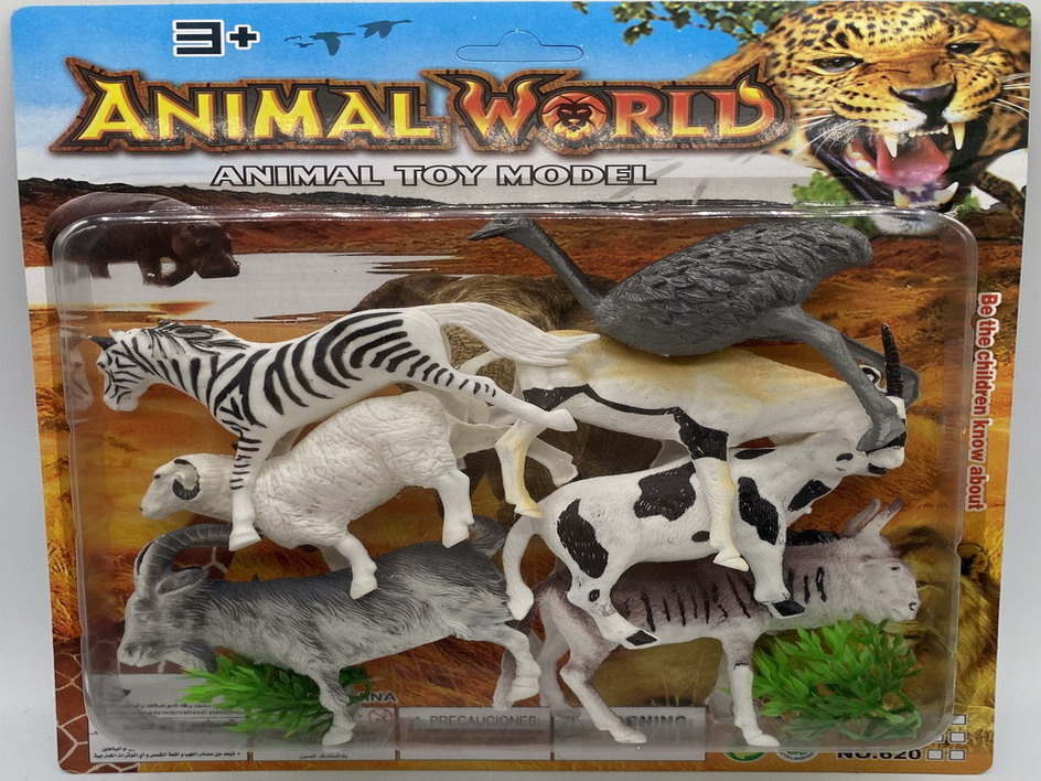 <img src='photo/Z/JZ109925.jpg'width='400' height='300'>