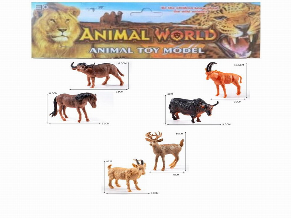 <img src='photo/Z/JZ109930.jpg'width='400' height='300'>