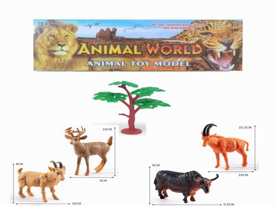 <img src='photo/Z/JZ109935.jpg'width='400' height='300'>