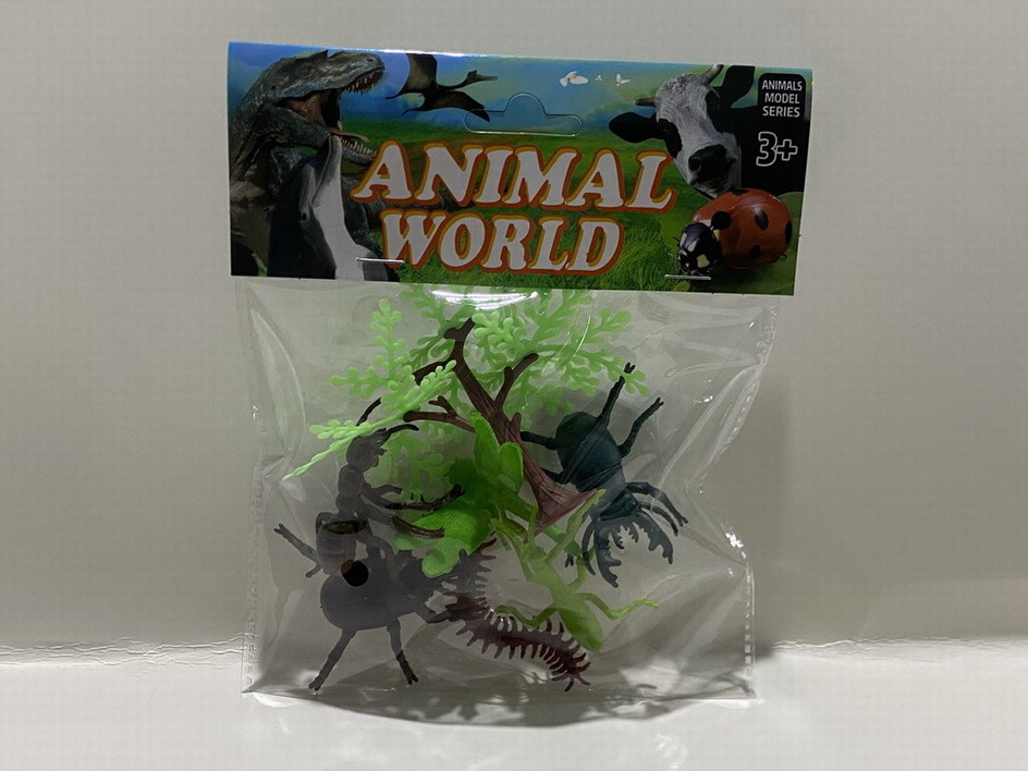 <img src='photo/Z/JZ109952.jpg'width='400' height='300'>