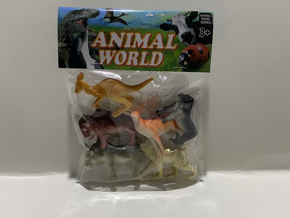 <img src='photo/Z/JZ109957.jpg'width='400' height='300'>