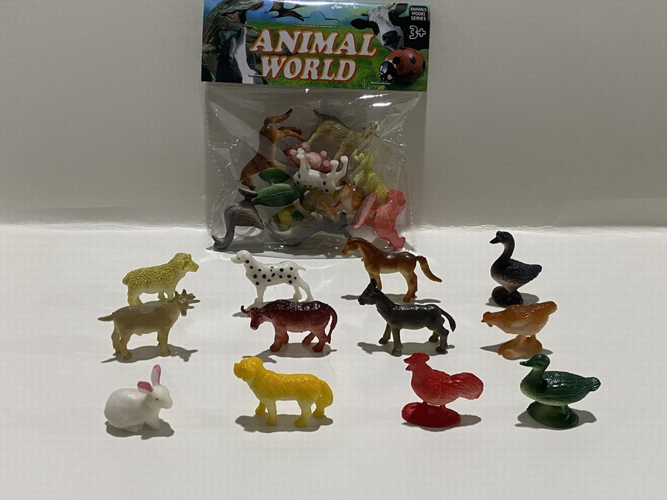 <img src='photo/Z/JZ109962.jpg'width='400' height='300'>