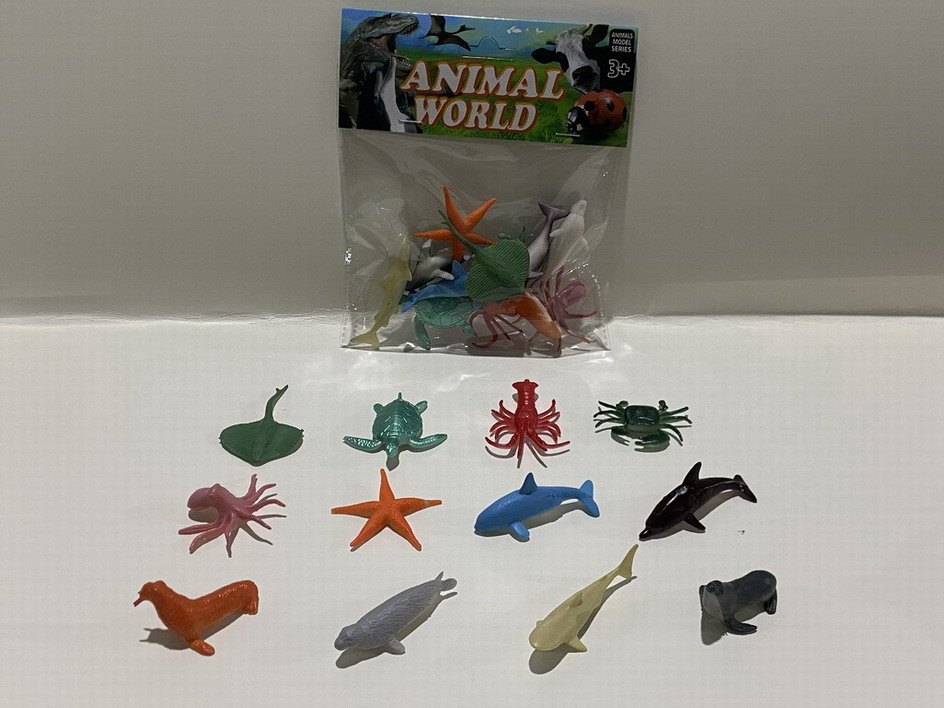 <img src='photo/Z/JZ109963.jpg'width='400' height='300'>