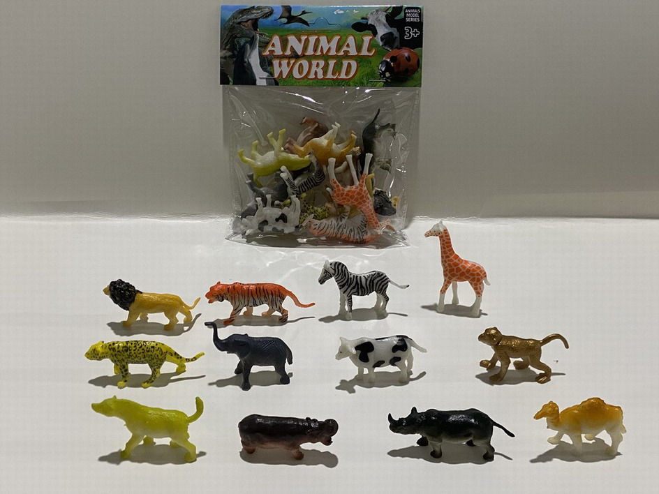 <img src='photo/Z/JZ109964.jpg'width='400' height='300'>