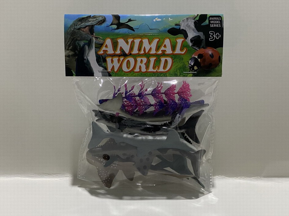 <img src='photo/Z/JZ109965.jpg'width='400' height='300'>