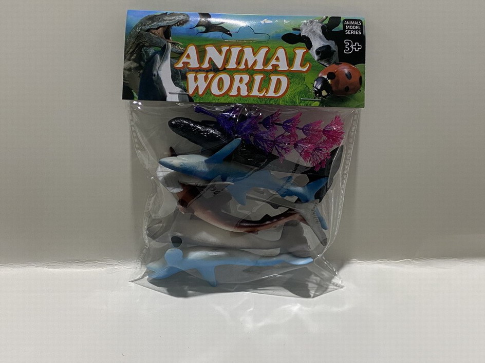 <img src='photo/Z/JZ109966.jpg'width='400' height='300'>