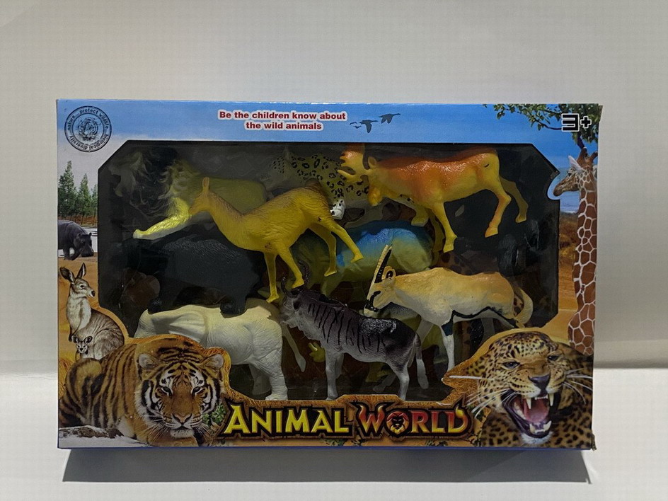 <img src='photo/Z/JZ109972.jpg'width='400' height='300'>