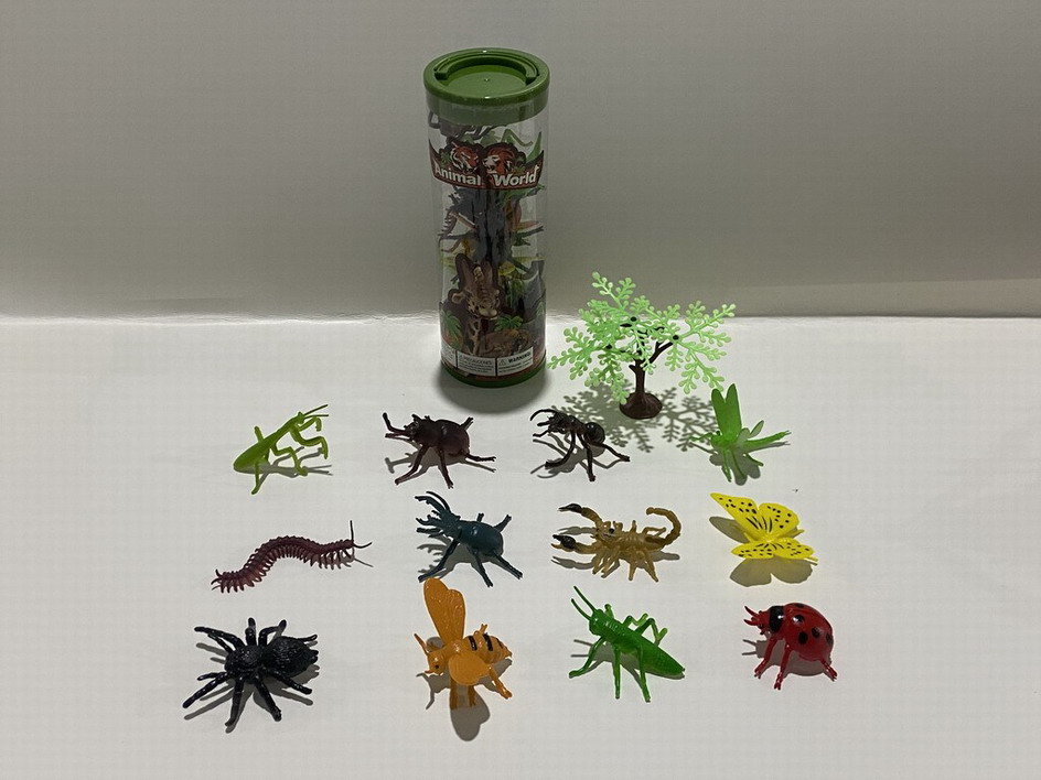 <img src='photo/Z/JZ109974.jpg'width='400' height='300'>