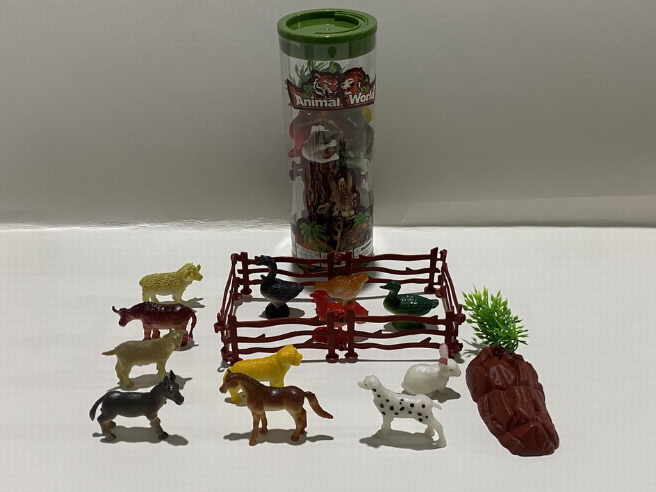 <img src='photo/Z/JZ109976.jpg'width='400' height='300'>