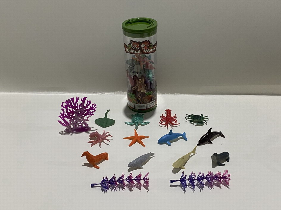 <img src='photo/Z/JZ109977.jpg'width='400' height='300'>