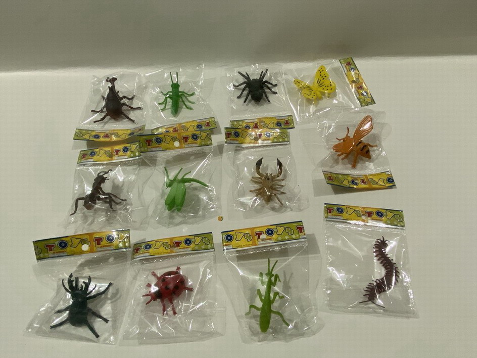 <img src='photo/Z/JZ109982.jpg'width='400' height='300'>