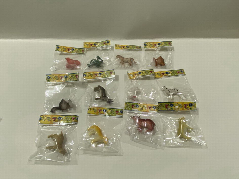 <img src='photo/Z/JZ109983.jpg'width='400' height='300'>