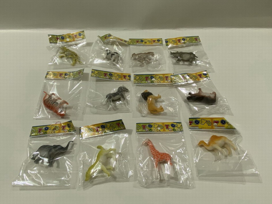 <img src='photo/Z/JZ109984.jpg'width='400' height='300'>