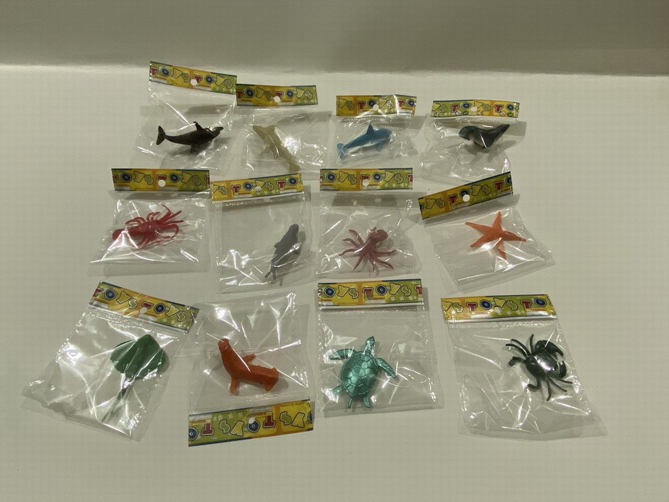 <img src='photo/Z/JZ109986.jpg'width='400' height='300'>