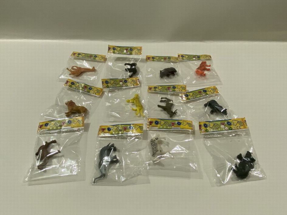 <img src='photo/Z/JZ109987.jpg'width='400' height='300'>