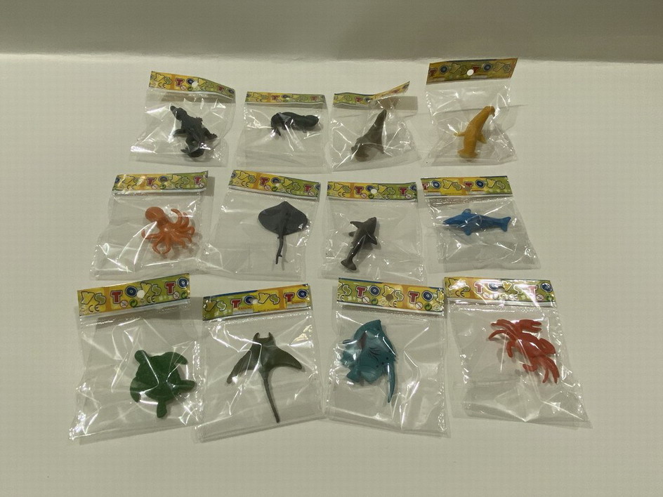 <img src='photo/Z/JZ109989.jpg'width='400' height='300'>