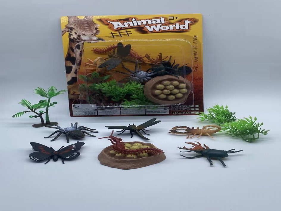 <img src='photo/Z/JZ110006.jpg'width='400' height='300'>