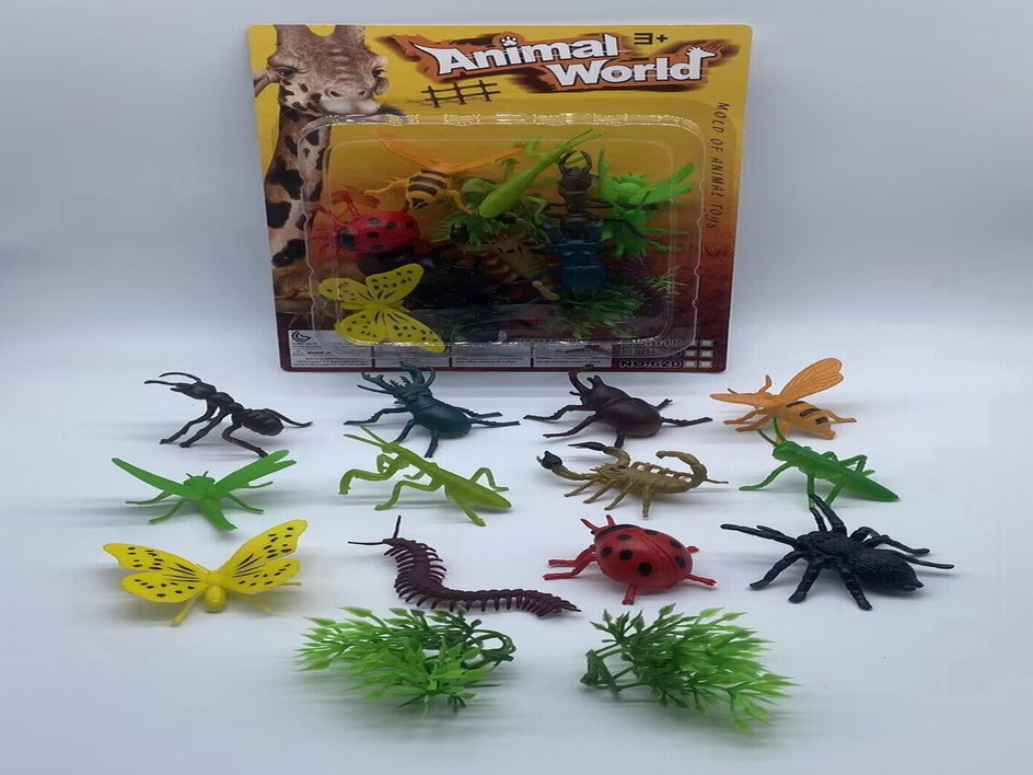 <img src='photo/Z/JZ110007.jpg'width='400' height='300'>