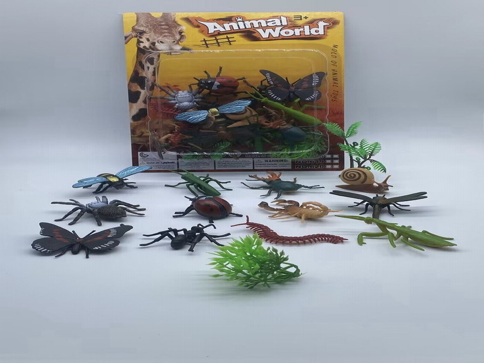 <img src='photo/Z/JZ110008.jpg'width='400' height='300'>